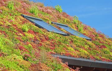 Trerise living roof systems